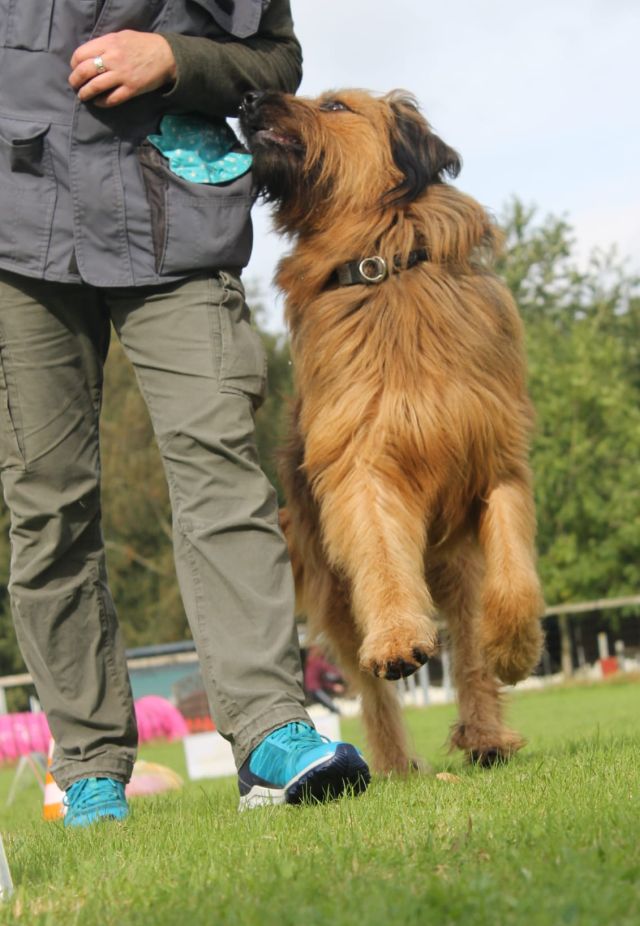 Sussi und Bjelle RO Training.jpg 1